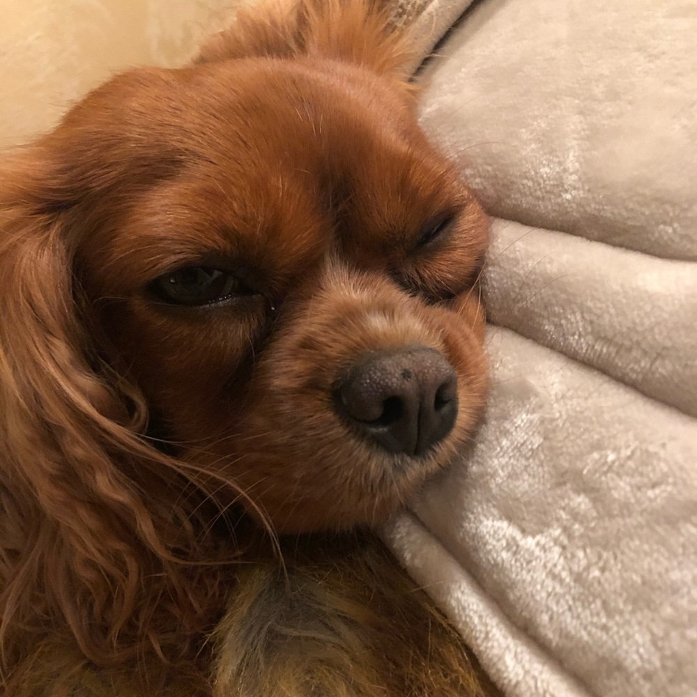 Meet your Posher, Rebecca